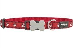 Desert Paws-Dog Collars-Leads-Harnesses -Assorted Colors and Sizes (Color: Red Collar, Size: S)
