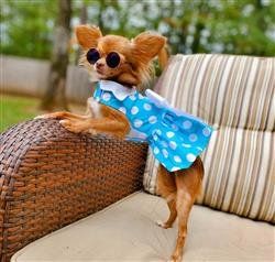 Polka Dot Dress w/ Leash & D-Ring - Assorted Colors (Color: Blue, Size: XS)