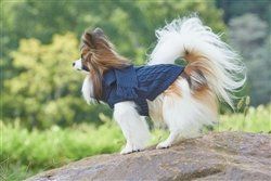 Ethical Pet Scarf Sweater Blue (Color: Blue, Size: S)