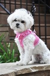 Choke Free Harness Polka Dot Ruffle -Assorted Colors and Sizes (Color: Candy Pink, Size: XS)