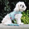 Cool Mesh Dog Harness with Leash - Surfboards and Palms