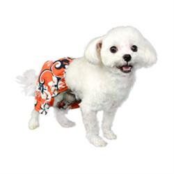 Cayman Swim Trunk-Orange (Size: XXS)