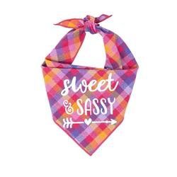 Pink Luxe Flannel Plaid dog bandana-Pink-Sweet & Sassy (Size: XS)