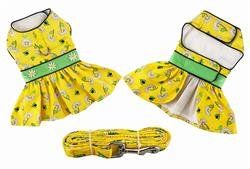 Ladybugs and Daisies Dog Dress and Matching Leash (Size: XS)
