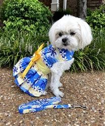 Catching Waves Dog Dress with Matching Leash (Size: XS)