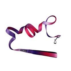 American River Ombre Leash - Assorted Colors and Sizes (Color: Raspberry Sundae, Size: 5/8x4' Lead)