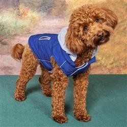 Weekender Dog Sweatshirt Hoodie - Assorted Colors and Sizes (Color: Royal Blue, Size: XS)