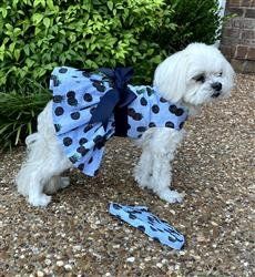 Blackberries Dog Dress with Matching Leash (Size: XS)
