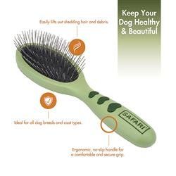 Safari Wire Pin Brush Green  - Large (Color: Green, Size: L)