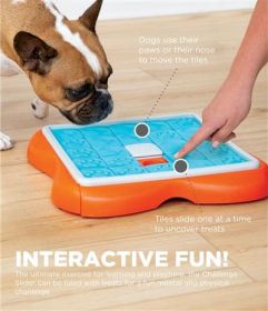 Outward Hound Challenge Slider Assorted (Color: Assorted, Names: Games)