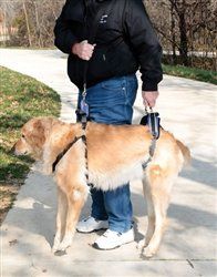 Solvit Care Lift™ Lifting Harness | For pets 6-130 Lbs | 2 Options & 3 Sizes (Size: SM ( Red Trim) Full Kit)