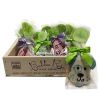 Individually Wrapped Everyday Set