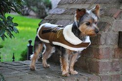 Brown and Black Trim Vintage Bomber Coat & Leash (Sizes: XS)