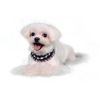 Lila Deco Collar -Black