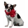 Melissa Deco Collar-Hot Pink