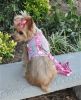Cool Mesh Dog Harness with Leash - Hawaiian Hibiscus Pink