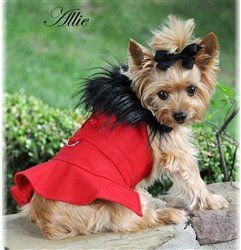 Wool Blend Coat Harness Fur Collar with Matching Leash-Assorted Colors and Sizes (Color: Red, Size: XS)