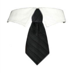 David Shirt Collar (Sizes: XXS/XS)