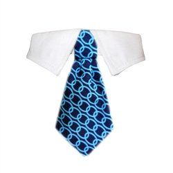 Jace Shirt Collar (Sizes: XXS/XS)