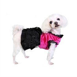 Paris Party Dress (Size: XXS)