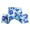 Mykonos Swim Trunk-Blue
