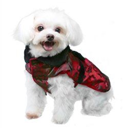 Elizabeth City Coat (Size: XXS)