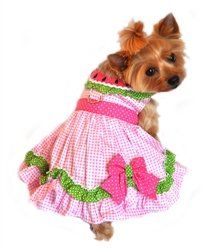 Watermelon Harness Dress (Size: XS)