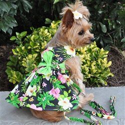 Twilight Black Hawaiian Hibiscus Dress w/ Leash & D-Ring (Size: M)