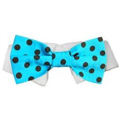 Bow Tie Collar - Conner (Size: XXS)